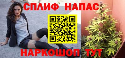 стаф Коммунар