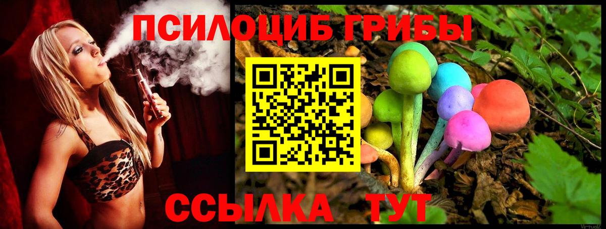 Кудымкар  Псилоцибиновые грибы мухоморы  как найти наркотики  Вход с VPN 