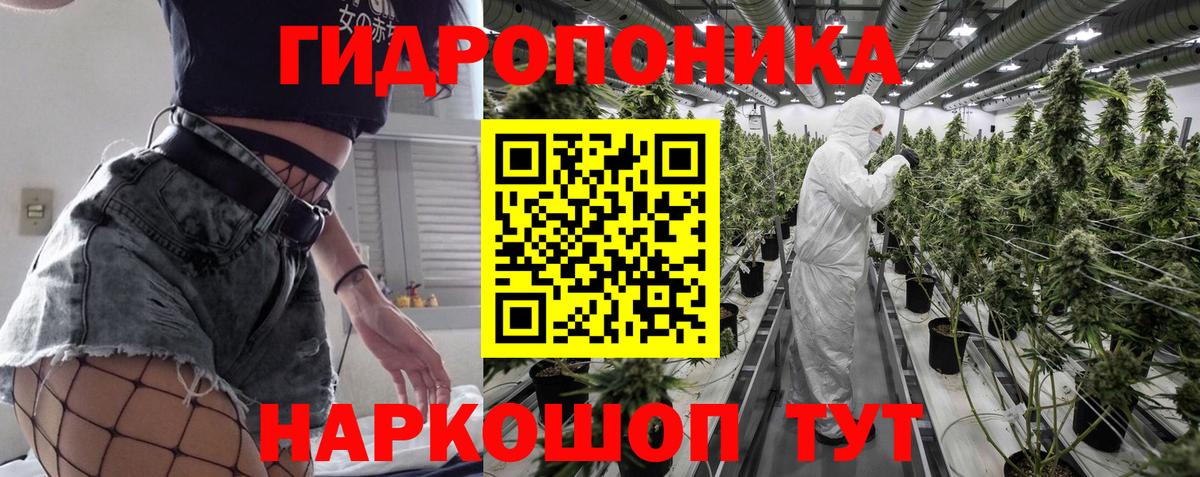 Конопля OG Kush  Вход с VPN  Кудымкар  Каннабис план  Марихуана семена 